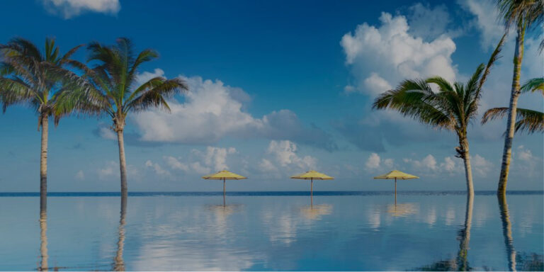 Sea and Palms